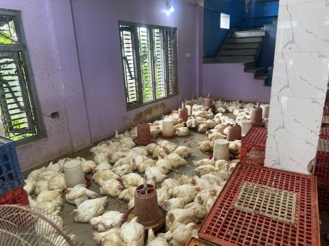 बिर्तामोड ९ मा न्वरनकाे भोज खाएका ६० जना बिरामी बिर्तामोड ९ मा न्वरनकाे भोज खाएका ६० जना बिरामी